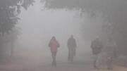 IMD alerts of cold wave across north, central India