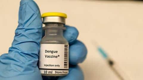 India may have a vaccine for dengue by 2019-end India may have a vaccine for dengue by 2019-end