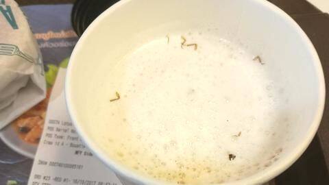 McDonald's serves 'cockroach legs' in coffee; apologizes later McDonald's serves 'cockroach legs' in coffee; apologizes later