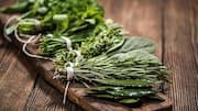 5 herbs that can make your meals tastier