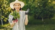 Grow fresh watermelon radishes in your garden