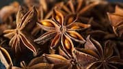 How anise seeds can support healthy digestion 
