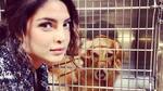 Priyanka's heartfelt message for Markle