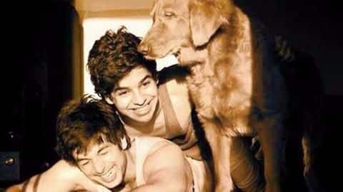 Is Ishaan Khattar bearing the brunt of being Shahid's brother? Is Ishaan Khattar bearing the brunt of being Shahid's brother?