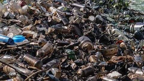 Delhi: Teen moves HC over filthy pond near her school Delhi: Teen moves HC over filthy pond near her school