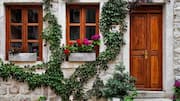 Easy ideas for a greener home entrance