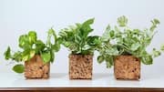 5 creative ways to use cork in home decor
