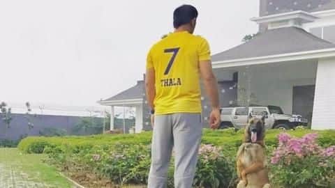 Chennai's 'Super King' Mahendra Singh Dhoni