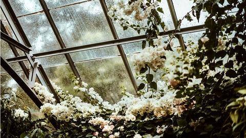 Here's how to make your monsoon wedding memorable Here's how to make your monsoon wedding memorable