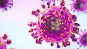 What's Oropouche virus, which may be coming to your city  