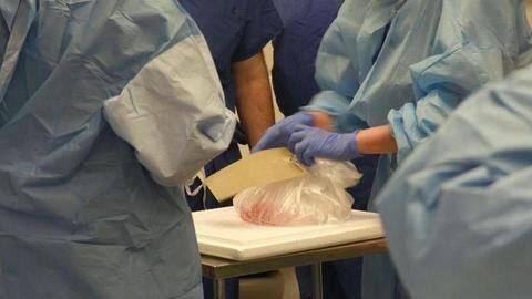 Johns Hopkins University performs world's first penis and scrotum transplant Johns Hopkins University performs world's first penis and scrotum transplant