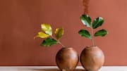 How to make beautiful clay pots at home
