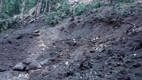 Backstory: Rattled after airstrikes, Pakistan says only trees were destroyed Backstory: Rattled after airstrikes, Pakistan says only trees were destroyed