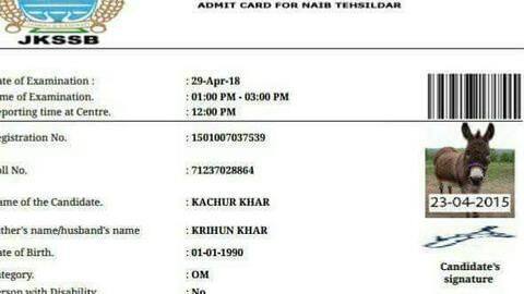 In J&K, admit card issued to donkey to write exam In J&K, admit card issued to donkey to write exam