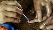 Lok Sabha elections phase 4: Looking at top 5 battles
