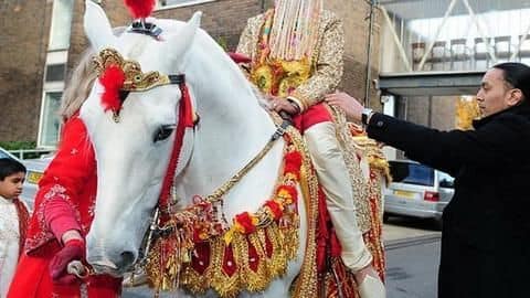 Delhi Police rescues four malnourished, tortured horses used for weddings Delhi Police rescues four malnourished, tortured horses used for weddings