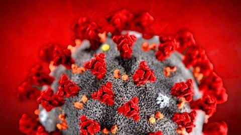 Coronavirus round-up: WHO calls it pandemic, India suspends visas Coronavirus round-up: WHO calls it pandemic, India suspends visas