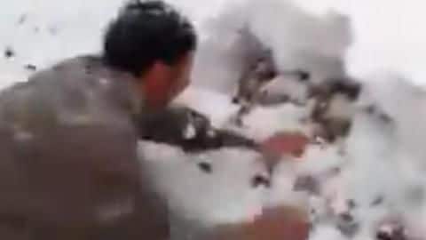 Kashmir: Farmer cries as snowfall ruins apple-crops, video goes viral Kashmir: Farmer cries as snowfall ruins apple-crops, video goes viral