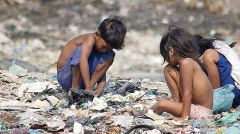 Frogs as food: The heartbreaking tale of hungry Bhagalpur kids Frogs as food: The heartbreaking tale of hungry Bhagalpur kids