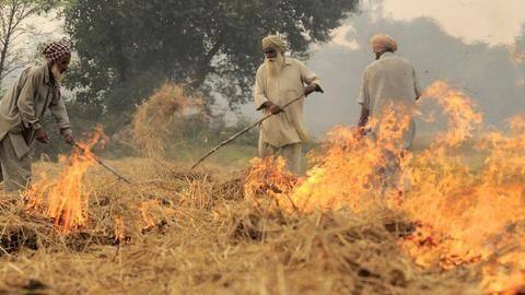 PM Modi says the budget will strengthen farmers PM Modi says the budget will strengthen farmers