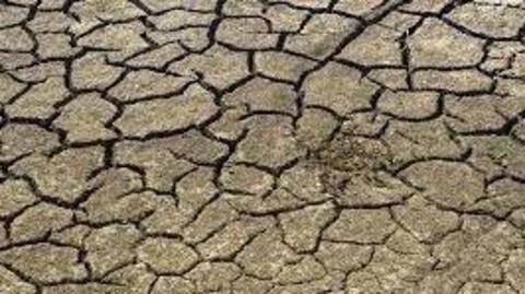 Half of Maharashtra drought-hit, farmer says no water to drink Half of Maharashtra drought-hit, farmer says no water to drink