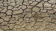 Half of Maharashtra drought-hit, farmer says no water to drink