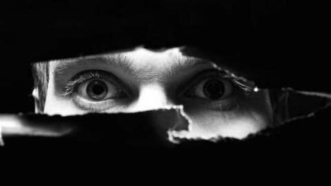 Indian diplomat's former cook arrested for leaking information to ISI Indian diplomat's former cook arrested for leaking information to ISI