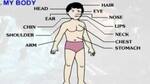 The study explains why covering genitals doesn't help kids