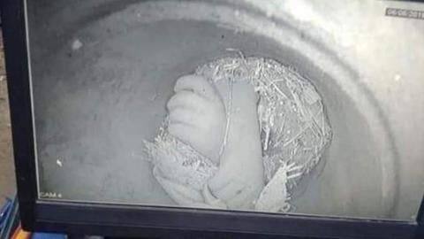 Punjab: 2-year-old, pulled out of borewell after 5 days, dies Punjab: 2-year-old, pulled out of borewell after 5 days, dies