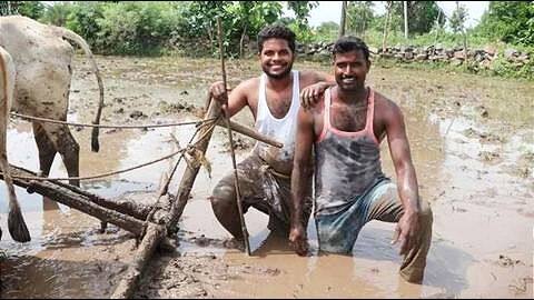 Image result for farmers kiki challenge