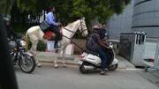 Bengaluru: The reason behind techie's horse-ride to work needs attention