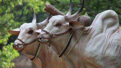 Tripura: VHP activists stage rally seeking ban on cow slaughter Tripura: VHP activists stage rally seeking ban on cow slaughter