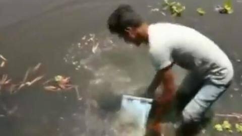 West Bengal: Locals retrieve ballot-box from pond. Safe keeping much? West Bengal: Locals retrieve ballot-box from pond. Safe keeping much?
