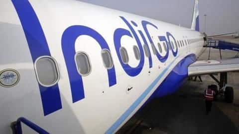 Others on Twitter slammed IndiGo Others on Twitter slammed IndiGo