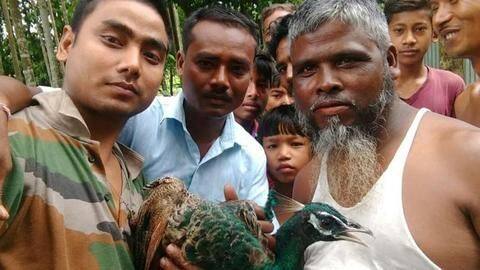 WB: Peacock dies after selfie-lovers manhandle it, pull its feathers WB: Peacock dies after selfie-lovers manhandle it, pull its feathers