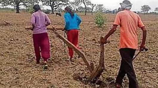 UP: Two daughters pull plough on father's land