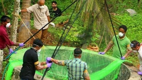 Kerala: Nipah virus strikes again, infects 23-year-old student Kerala: Nipah virus strikes again, infects 23-year-old student