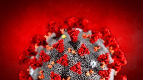 Mumbai: In four frontline warriors, coronavirus-reinfection becomes more severe Mumbai: In four frontline warriors, coronavirus-reinfection becomes more severe