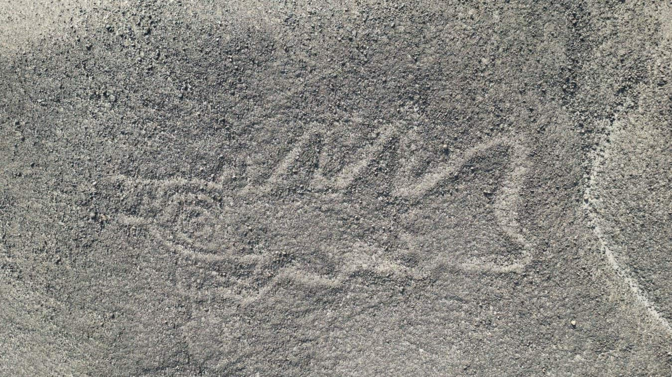 AI uncovers 2,000-year-old Nazca drawings in Peruvian desert