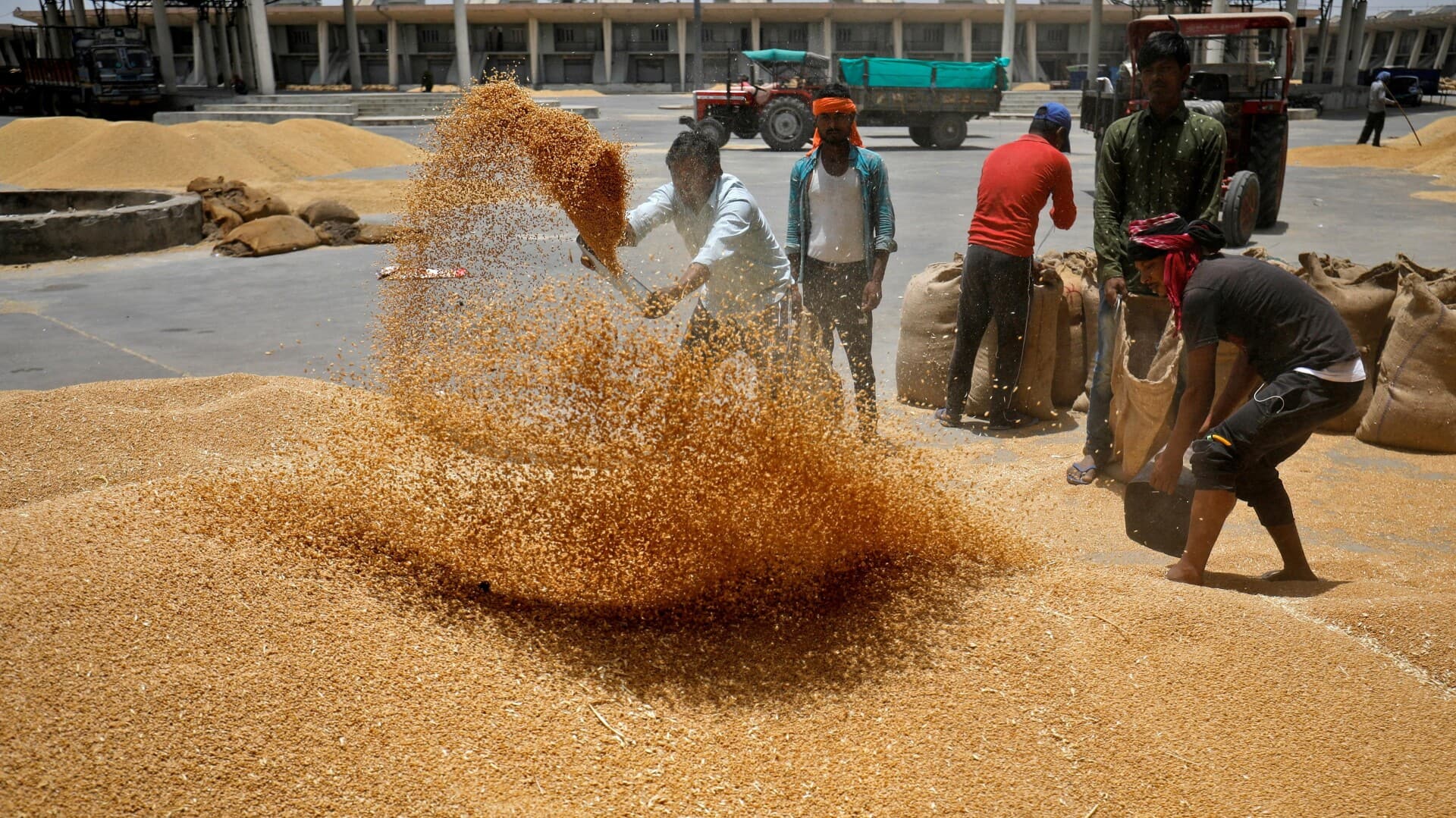 Centre reduces wheat stock limits to control prices