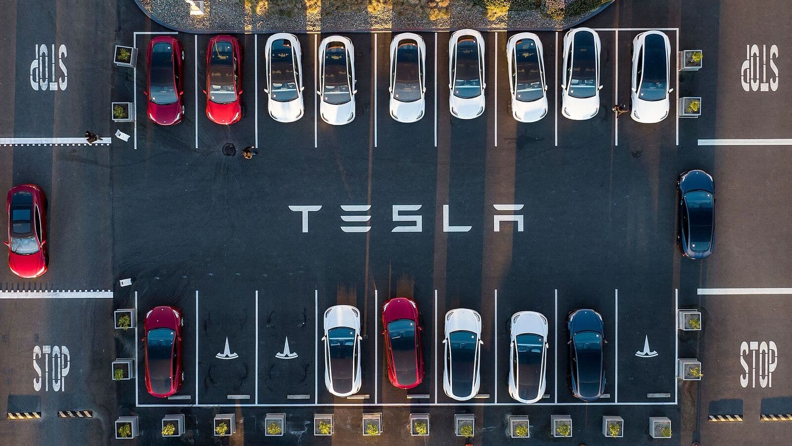 Tesla's China shipments experience downturn amidst rising competition