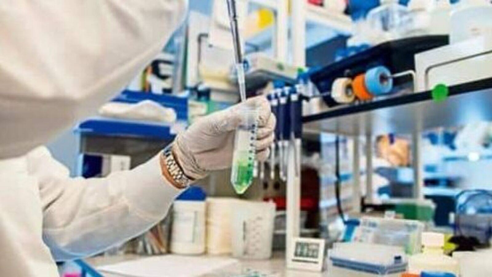 Divi's Laboratories shares soar 5% post solid Q4 results