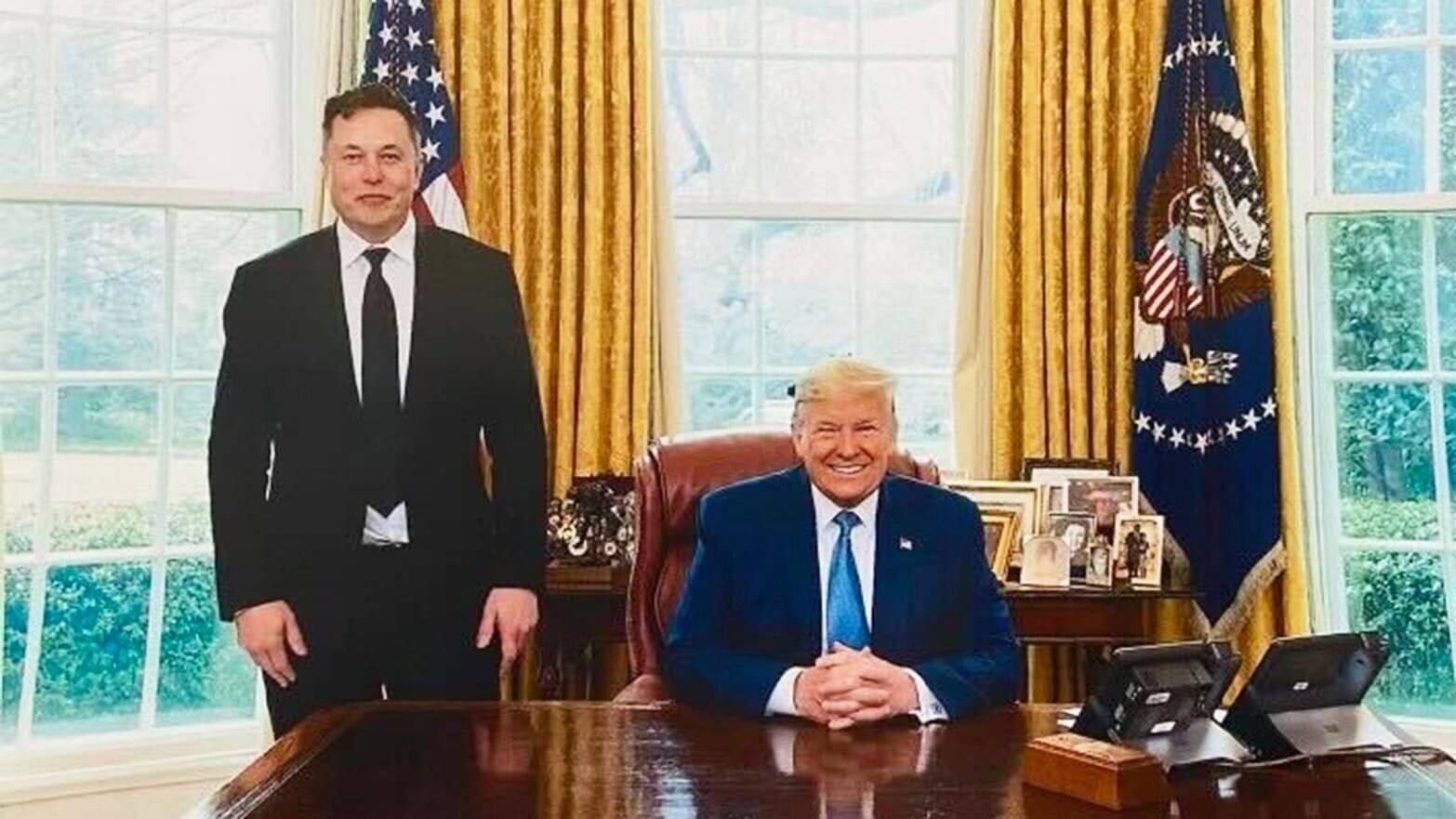 Elon Musk rejoices at Trump’s victory