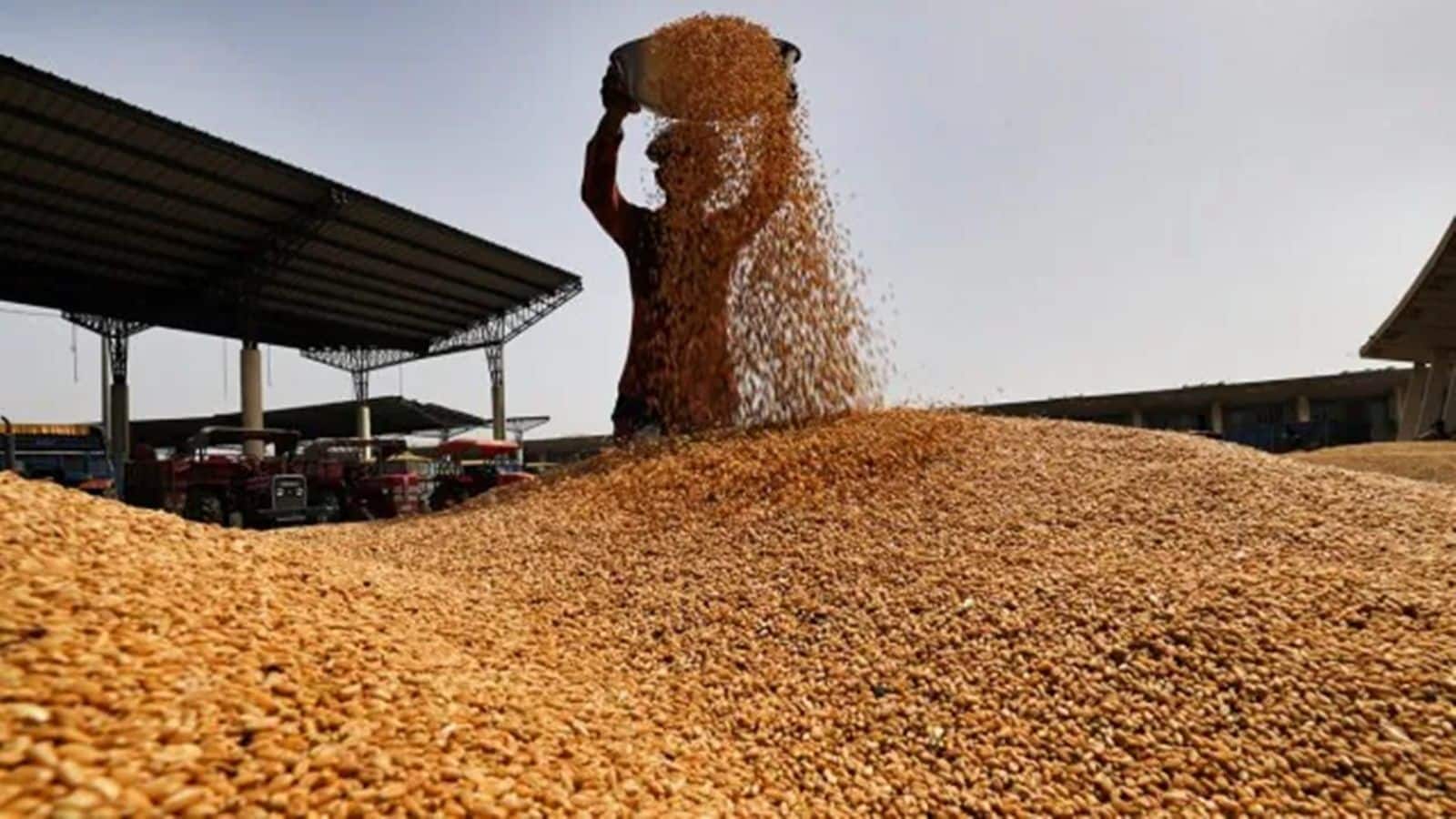India set to import wheat after six-year break