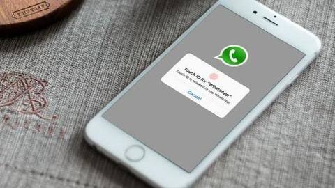How to turn on the feature on WhatsApp for iOS? How to turn on the feature on WhatsApp for iOS?