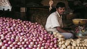 Centre launches 'Kanda Express' as onion prices rise 45%