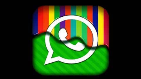 Tips and tricks: Here's how to personalize your WhatsApp account Tips and tricks: Here's how to personalize your WhatsApp account