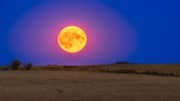 'Buck Moon' on July 10—What makes this full moon special