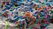 Eating less sugar could protect your gut during antibiotics