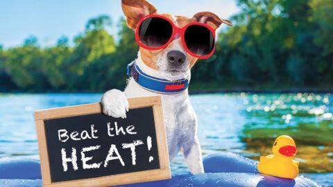 Summer blues? These gadgets will help you beat the heat Summer blues? These gadgets will help you beat the heat